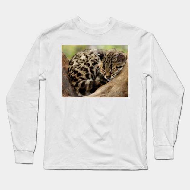 sleepy Long Sleeve T-Shirt by pcfyi